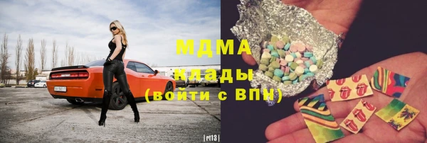 индика Абаза
