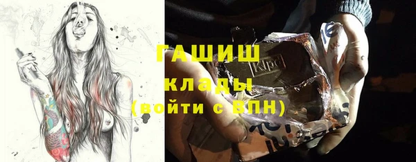 индика Абаза