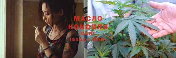 индика Абаза