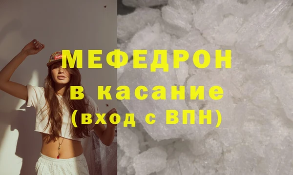 индика Абаза