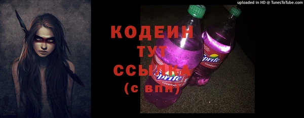 индика Абаза