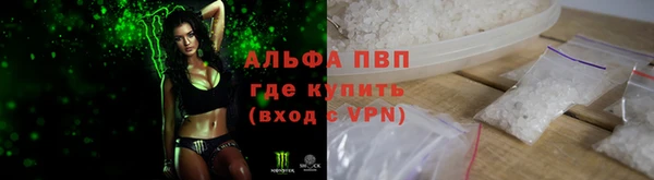 индика Абаза