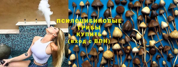 ГАЛЛЮЦИНОГЕННЫЕ ГРИБЫ Абдулино