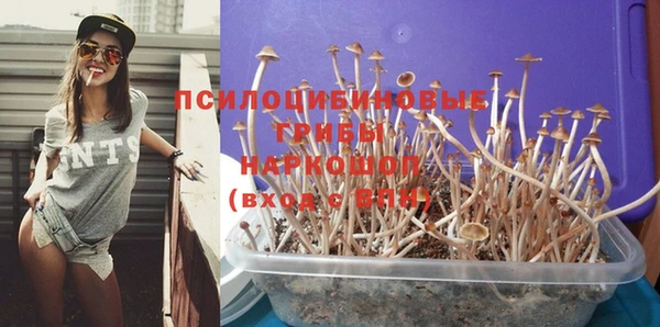 индика Абаза
