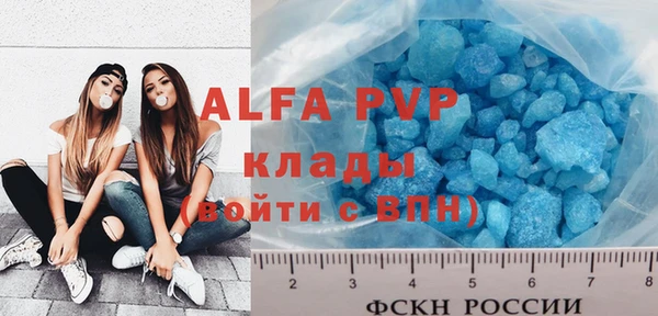 эйфоретик Алзамай