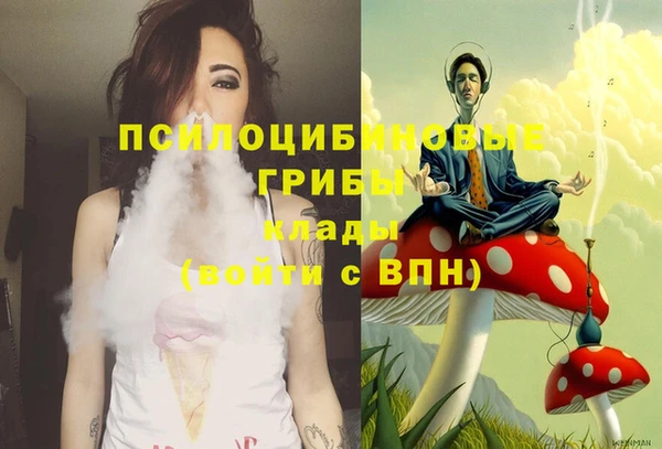 экстази Алексин