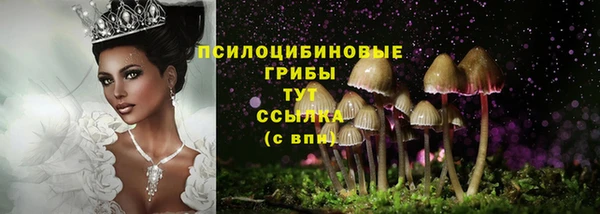 ГАЛЛЮЦИНОГЕННЫЕ ГРИБЫ Абдулино